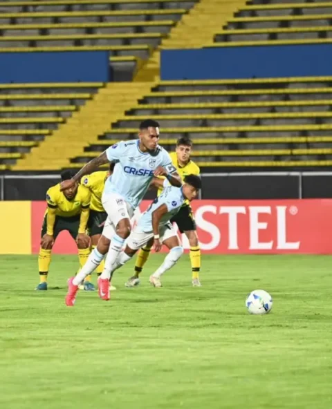 Universidad Católica