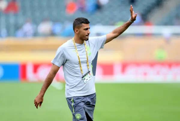Rodri (Photo by David Ramos/Getty Images)