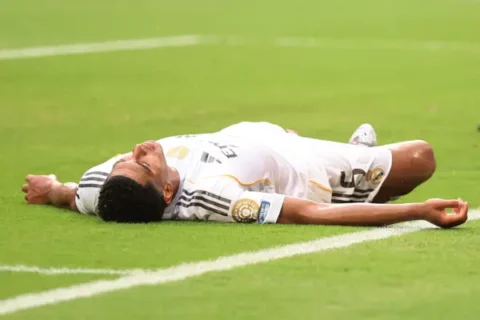 Photo by Michael Reaves/Getty Images