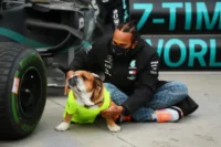 Photo by Clive Mason/Getty Images